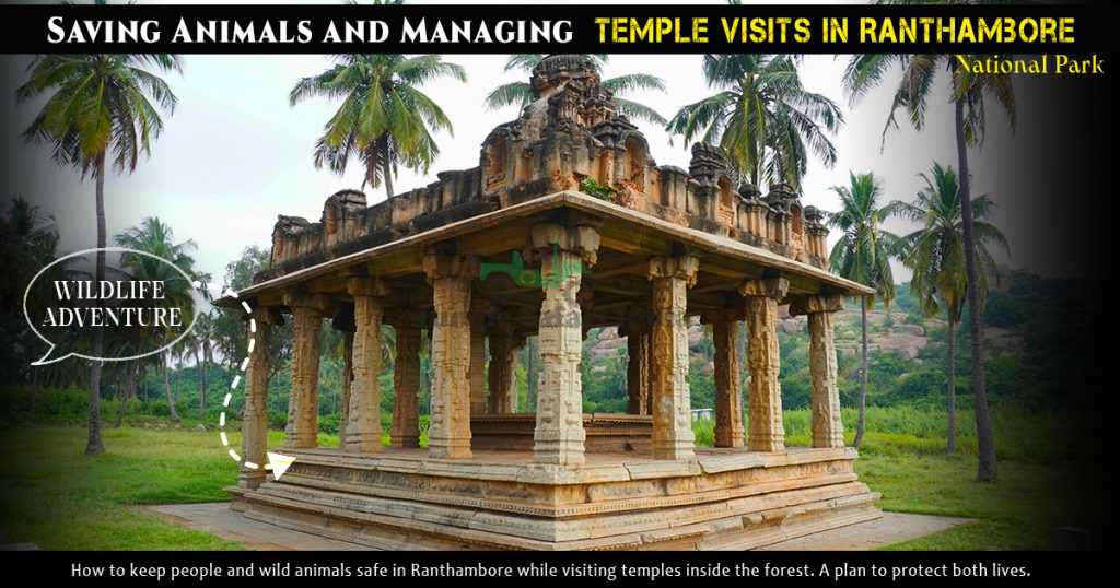 Saving Animals and Managing Temple Visits in Ranthambore