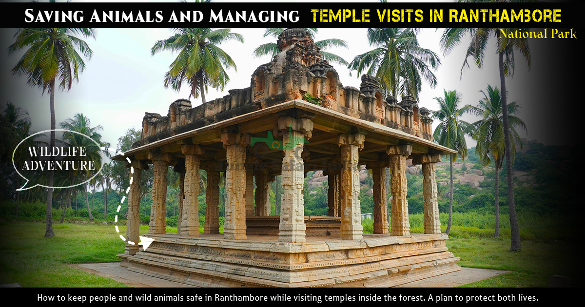 Saving Animals and Managing Temple Visits in Ranthambore