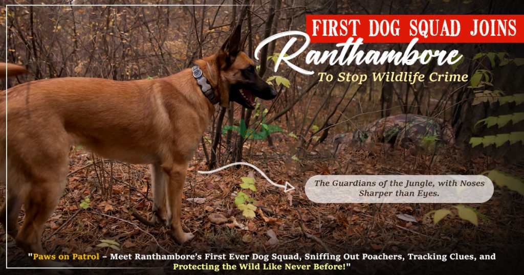 First Dog Squad Joins Ranthambore To Stop Wildlife Crime First Dog Squad Joins Ranthambore To Stop Wildlife Crime