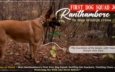 First Dog Squad Joins Ranthambore To Stop Wildlife Crime First Dog Squad Joins Ranthambore To Stop Wildlife Crime