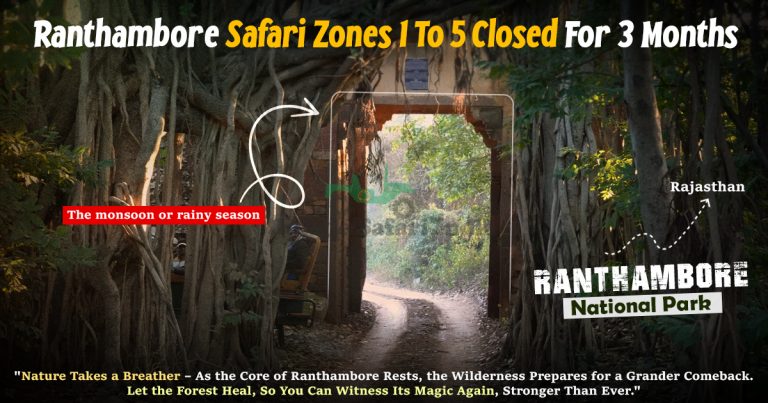 Ranthambore Safari Zones 1 To 5 Closed For 3 Months