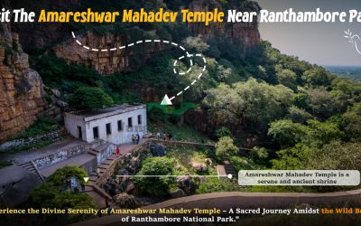 Visit The Amareshwar Mahadev Temple Near Ranthambore Park
