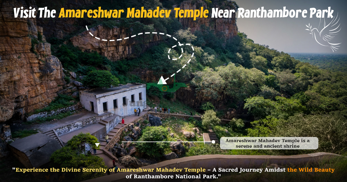 Visit The Amareshwar Mahadev Temple Near Ranthambore Park