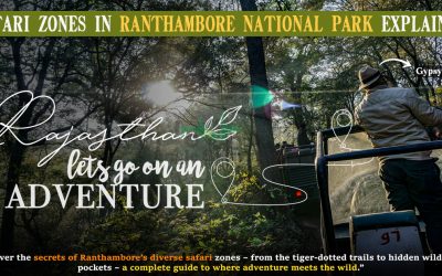 Safari Zones In Ranthambore National Park Explained Safari zones in Ranthambore National Park explained