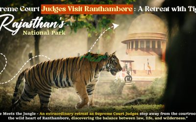 Supreme Court Judges Visit Ranthambore- A Retreat with Tigers