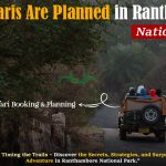 How Safaris Are Planned in Ranthambore
