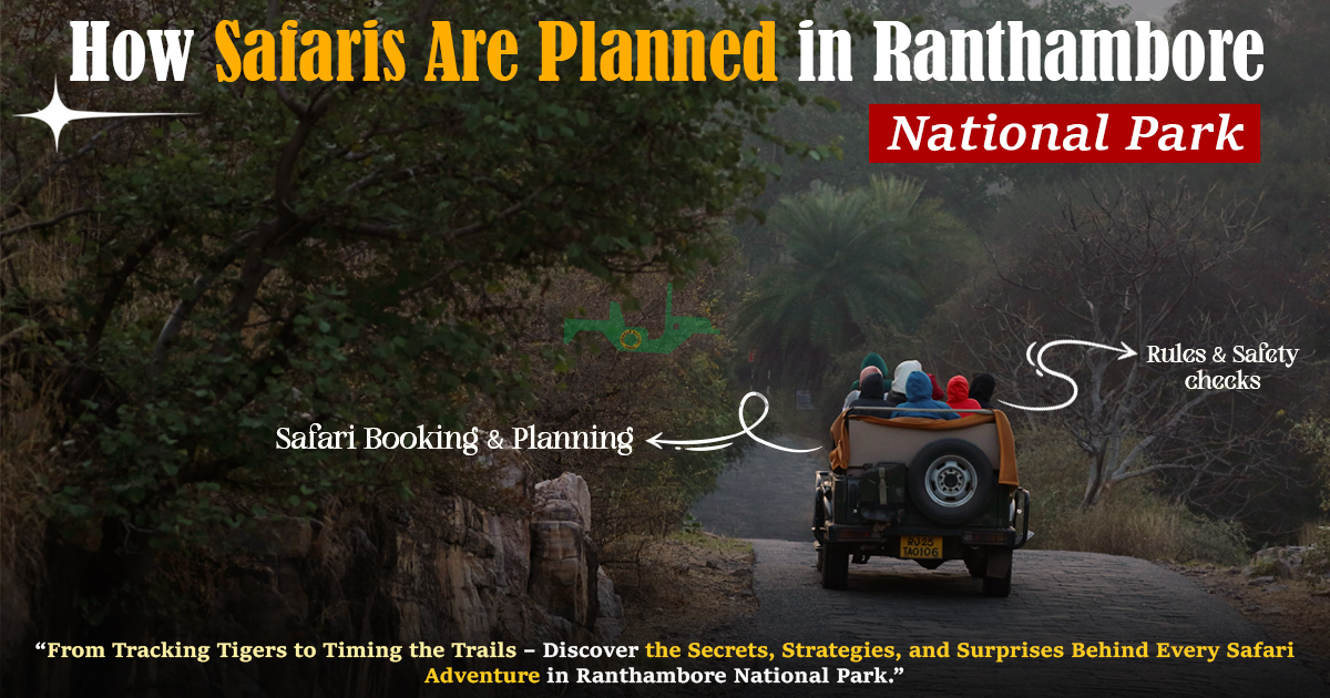How Safaris Are Planned in Ranthambore