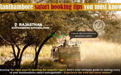 Ranthambore safari booking tips you must know