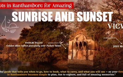 Spots in Ranthambore for Amazing Sunrise and Sunset Views