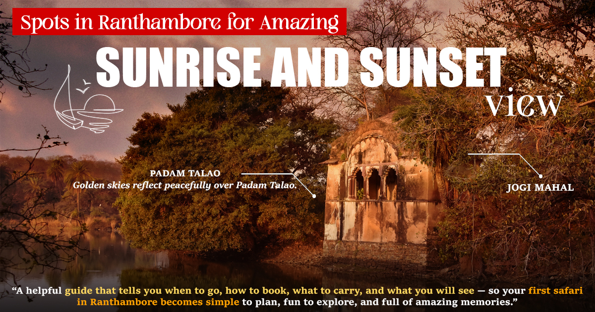Spots in Ranthambore for Amazing Sunrise and Sunset Views