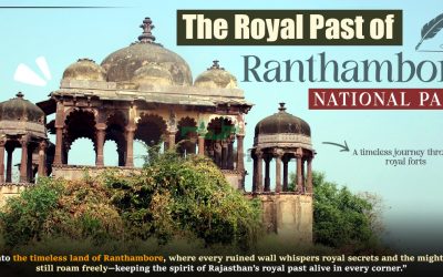 The Royal Past of Ranthambore National Park