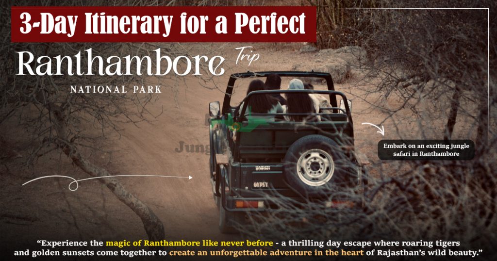 3-Day Itinerary for a Perfect Ranthambore Trip