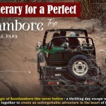 3-Day Itinerary for a Perfect Ranthambore Trip