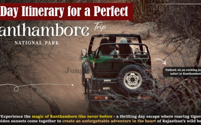 3-Day Itinerary for a Perfect Ranthambore Trip