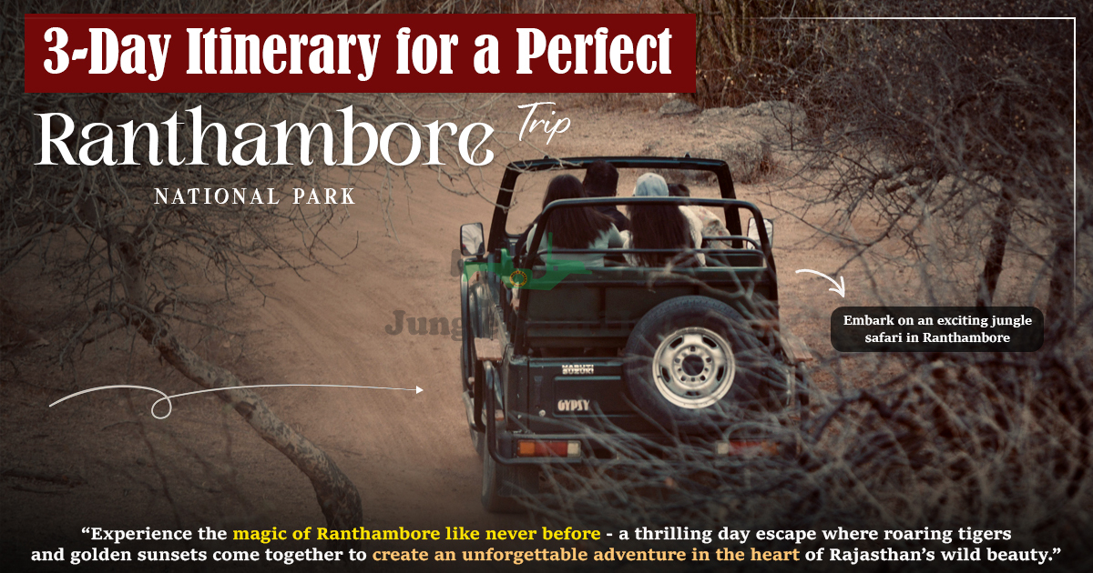3-Day Itinerary for a Perfect Ranthambore Trip