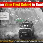 How to Plan Your First Safari in Ranthambore