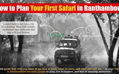 How to Plan Your First Safari in Ranthambore