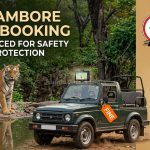Ranthambore Safari Vehicles Fined for Rule Violations